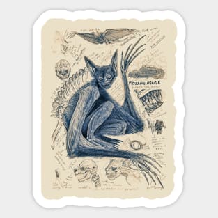 Pipisanguisuge - Vampire Bat Sticker